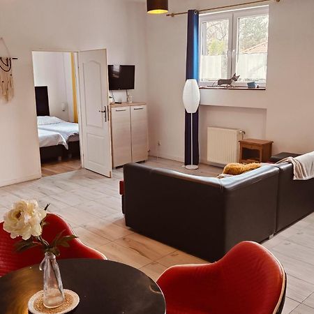 Studio Red Kot Жельона Гора Екстериор снимка