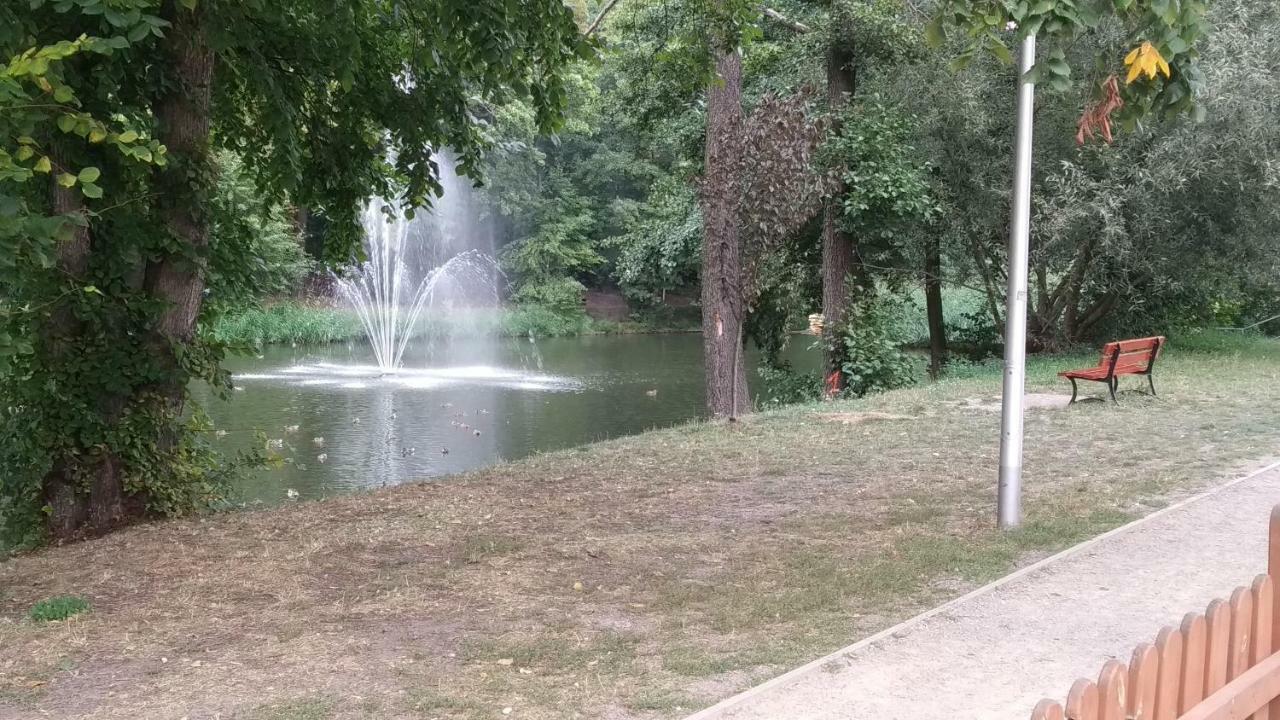 Studio Red Kot Жельона Гора Екстериор снимка